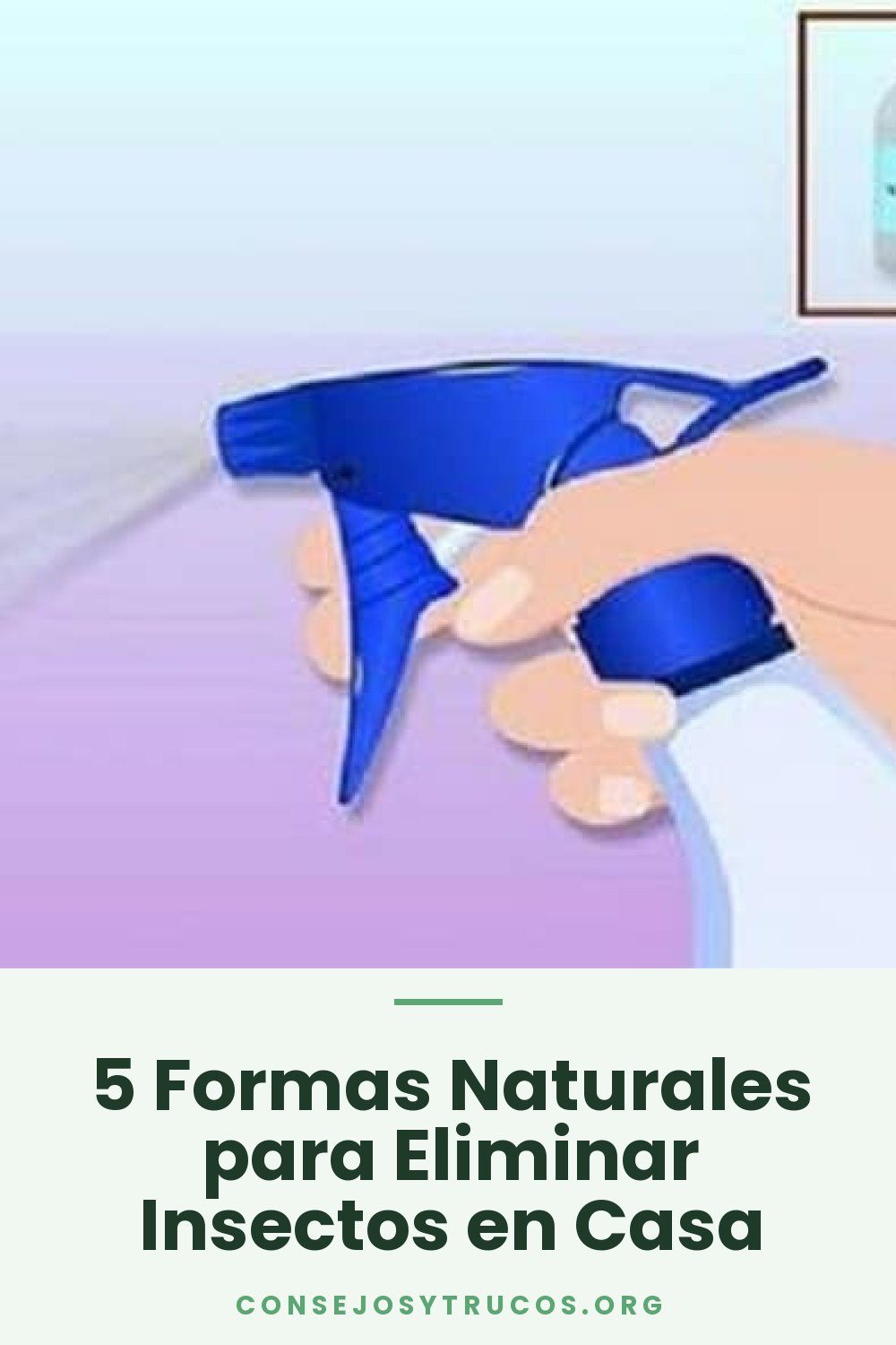 5 Formas Naturales para Eliminar Insectos en Casa