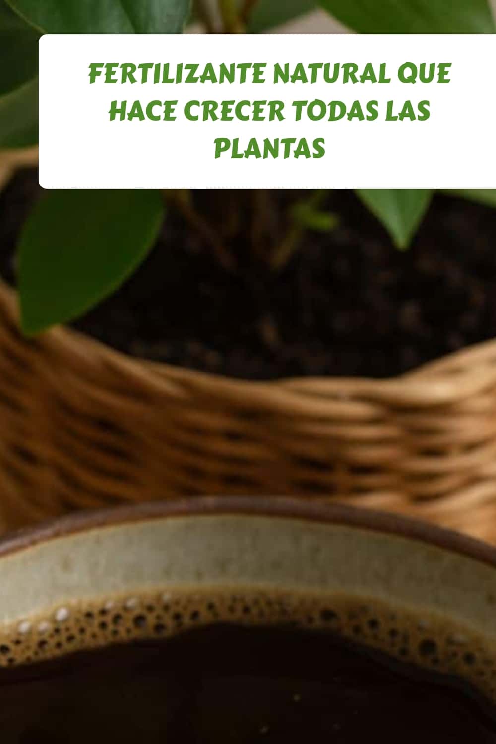 Fertilizante natural que hace crecer todas las plantas generated pin 2116
