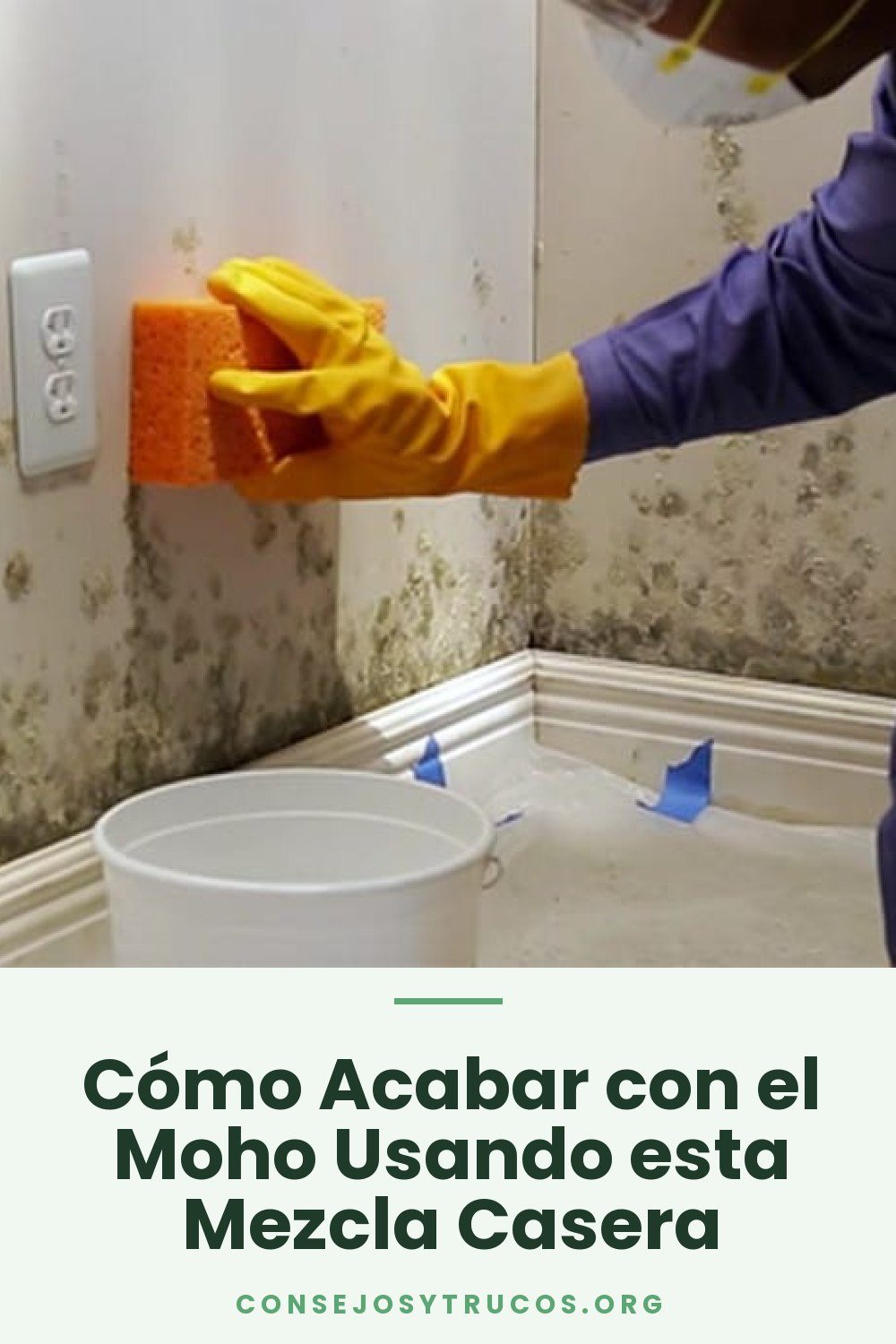 Cómo Acabar con el Moho Usando esta Mezcla Casera