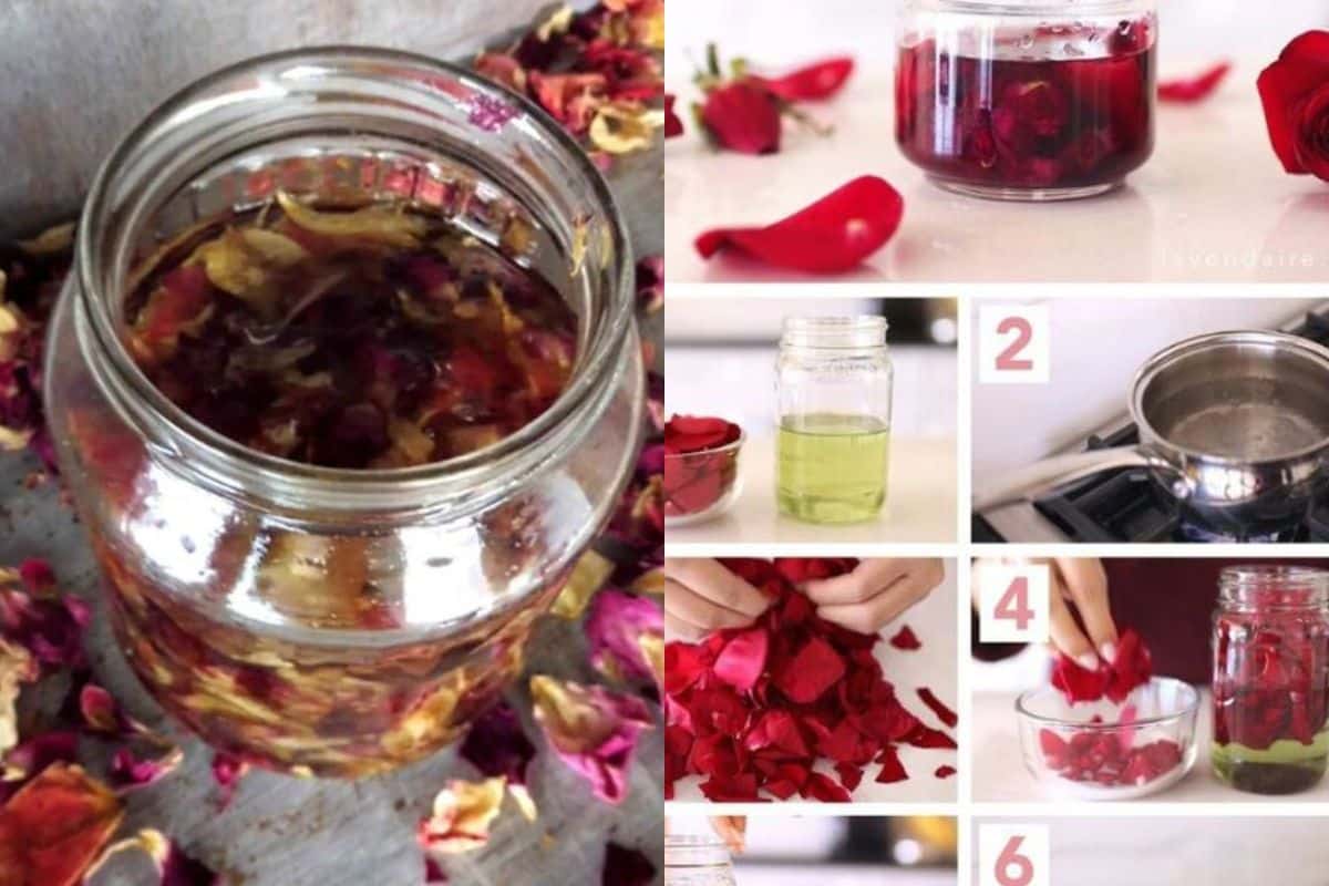 aceite de rosas casero