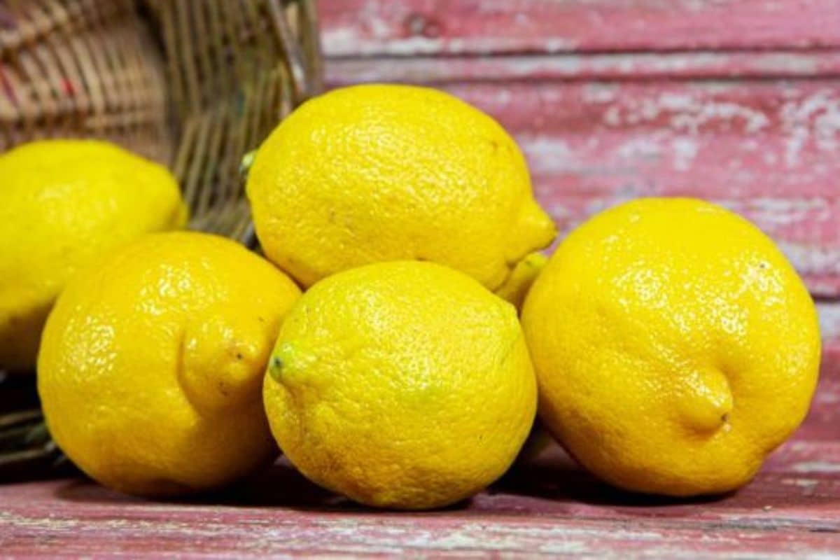 como conservar los limones por mas tiempo