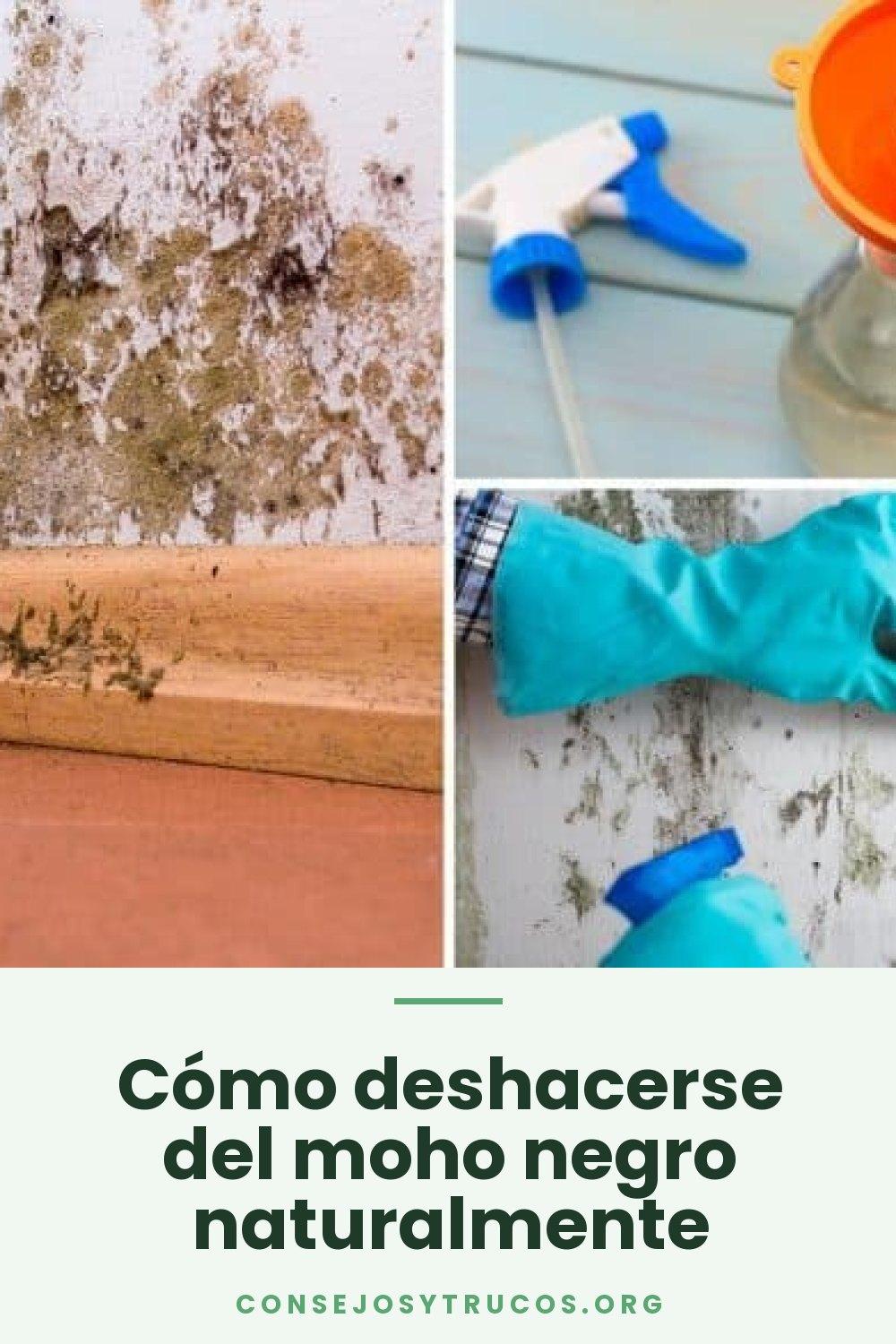 Cómo deshacerse del moho negro naturalmente