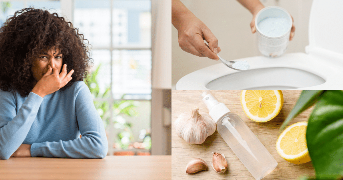 como eliminar el olor a comida en casa