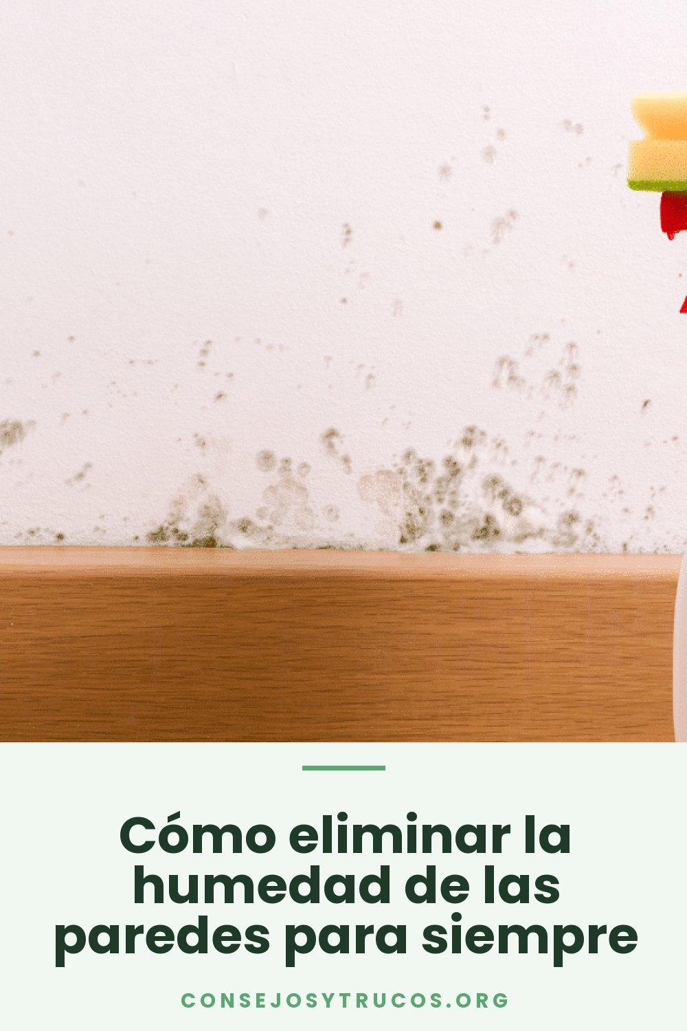 Cómo eliminar la humedad de las paredes para siempre