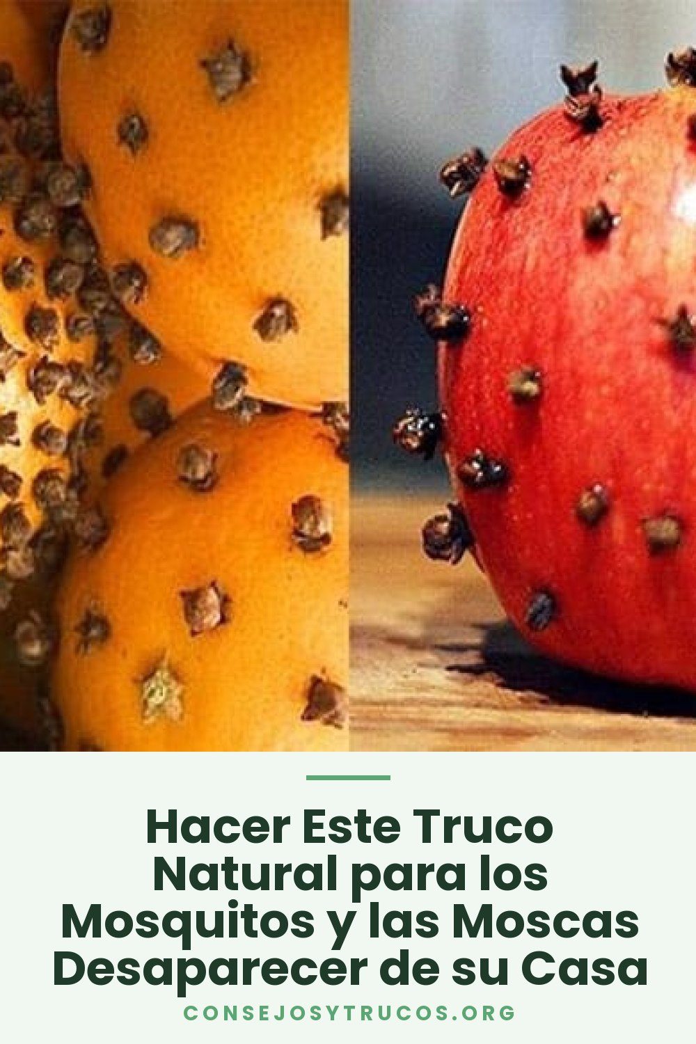Hacer Este Truco Natural para los Mosquitos y las Moscas Desaparecer de su Casa