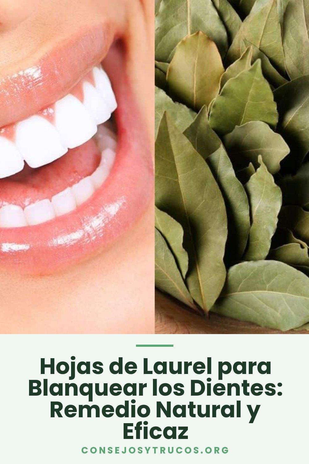 Hojas de Laurel para Blanquear los Dientes: Remedio Natural y Eficaz
