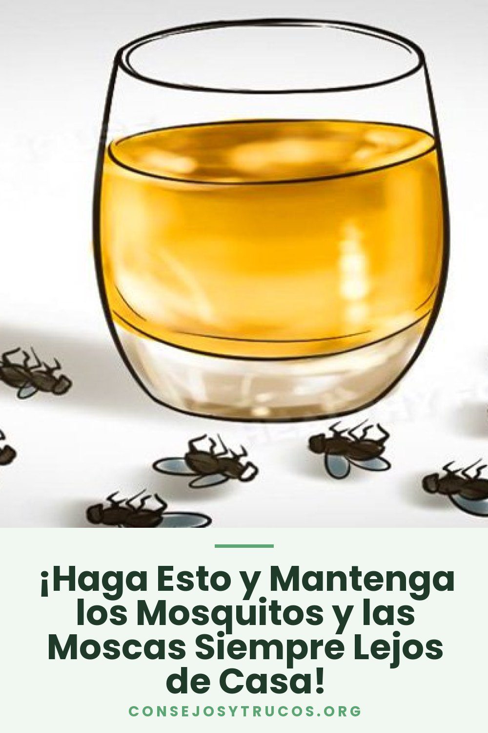 ¡Haga Esto y Mantenga los Mosquitos y las Moscas Siempre Lejos de Casa!