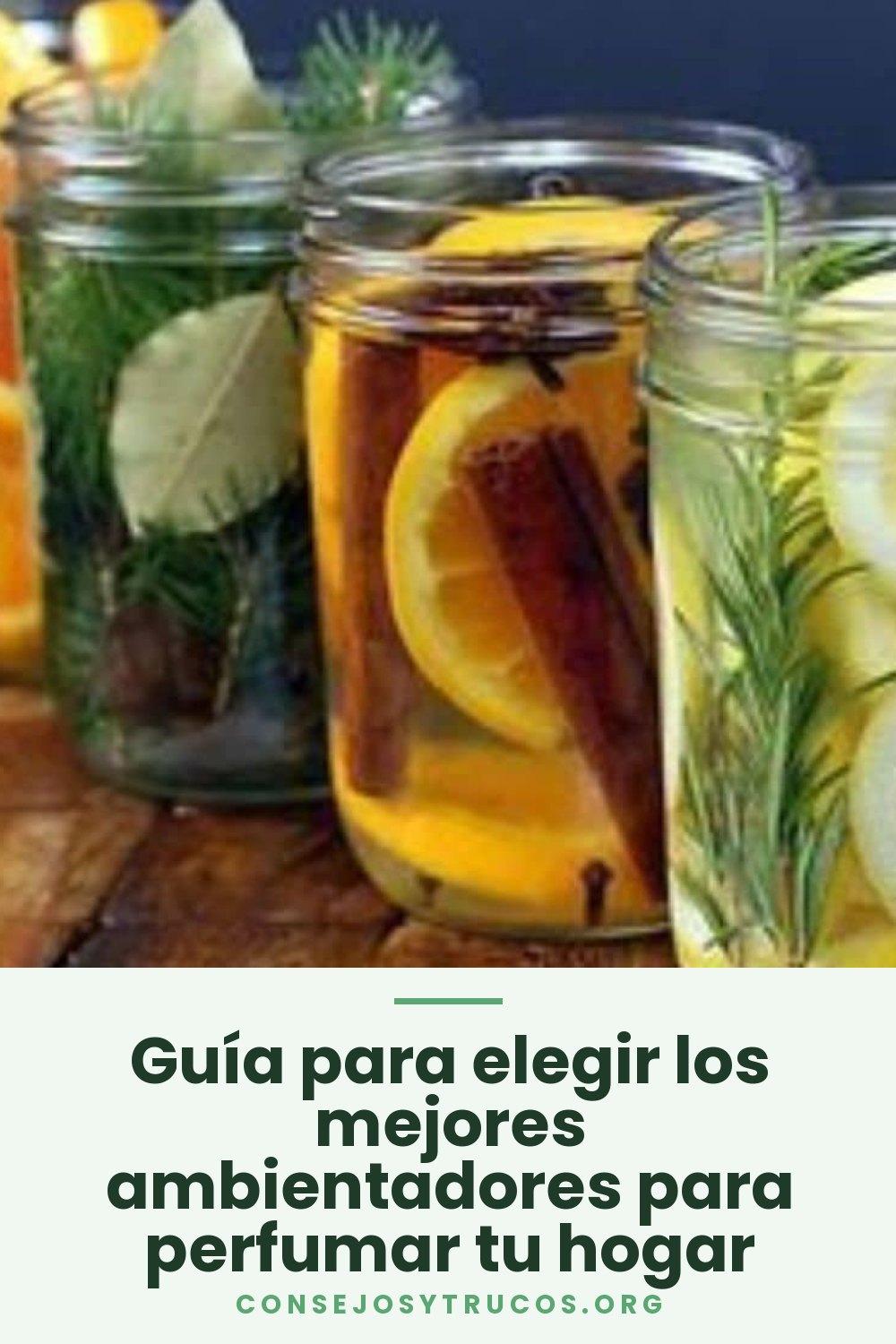 Guía para elegir los mejores ambientadores para perfumar tu hogar