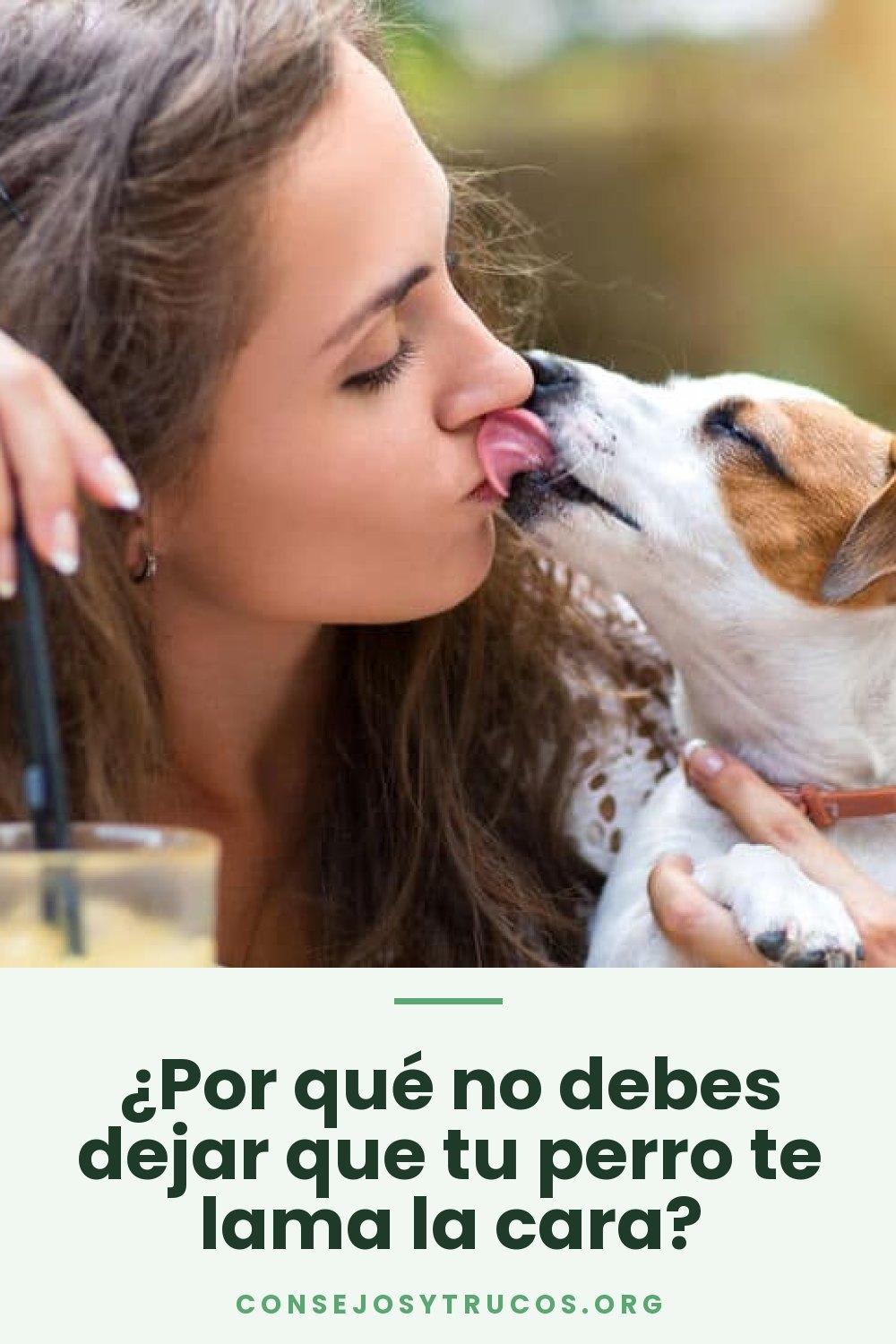 ¿Por qué no debes dejar que tu perro te lama la cara?