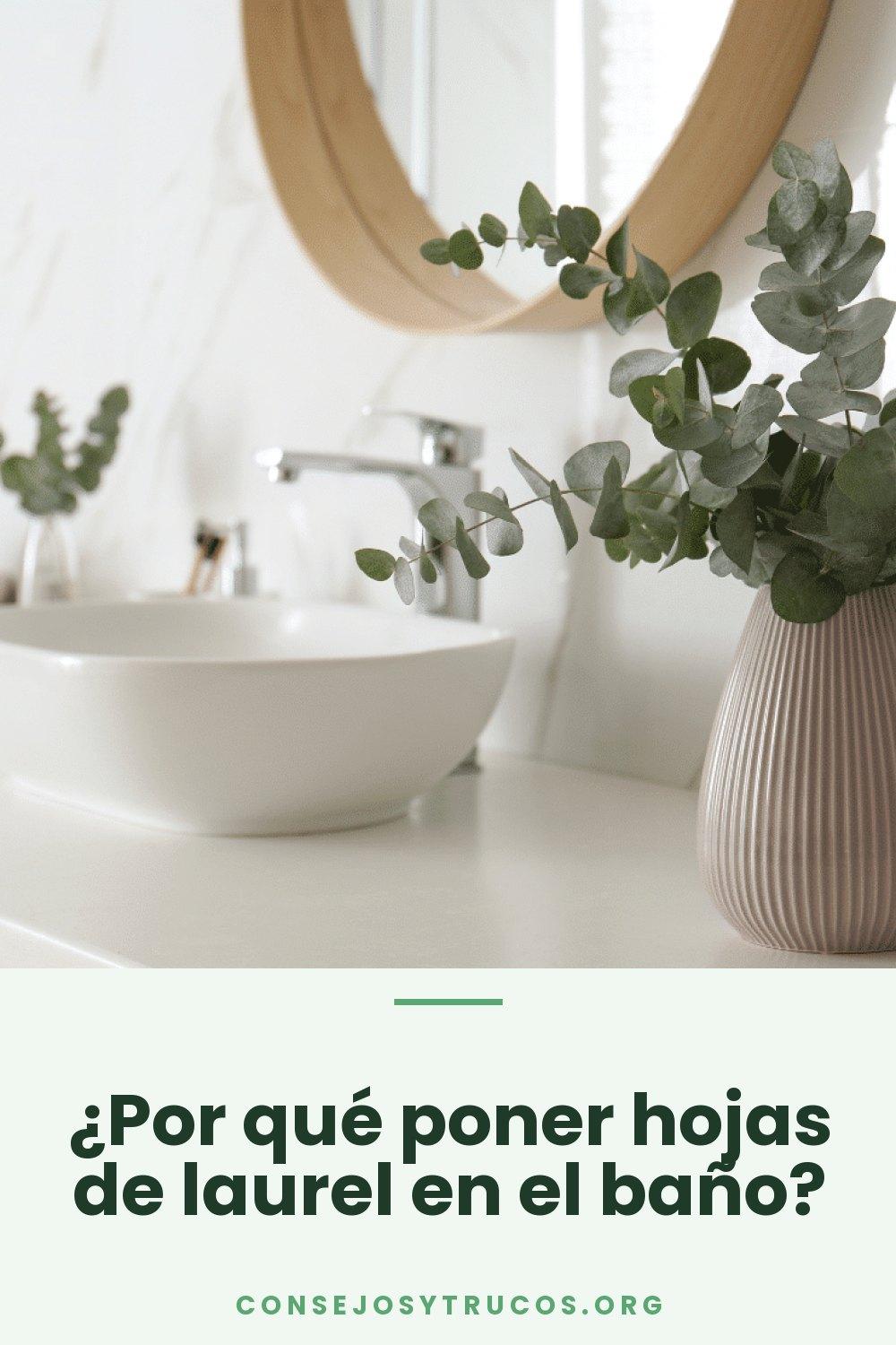 ¿Por qué poner hojas de laurel en el baño?