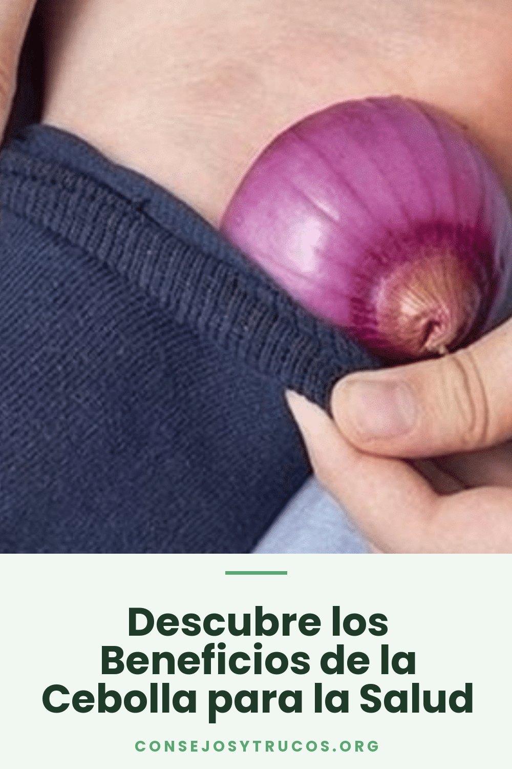 Descubre los Beneficios de la Cebolla para la Salud