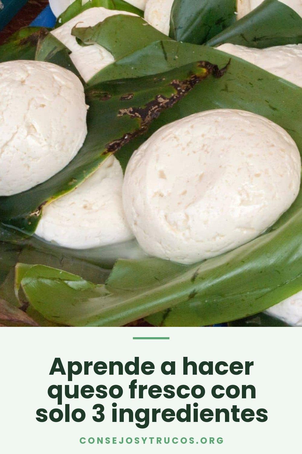Aprende a hacer queso fresco con solo 3 ingredientes