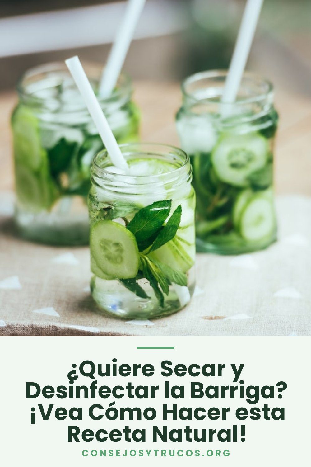 ¿Quiere Secar y Desinfectar la Barriga? ¡Vea Cómo Hacer esta Receta Natural!