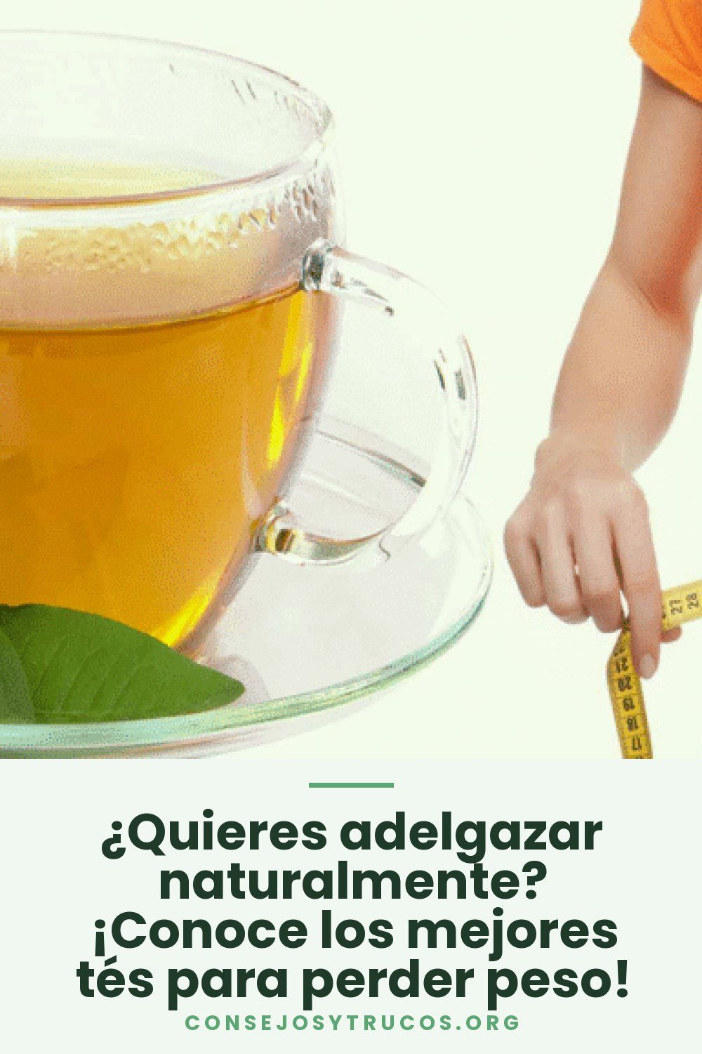 ¿Quieres adelgazar naturalmente? ¡Conoce los mejores tés para perder peso!