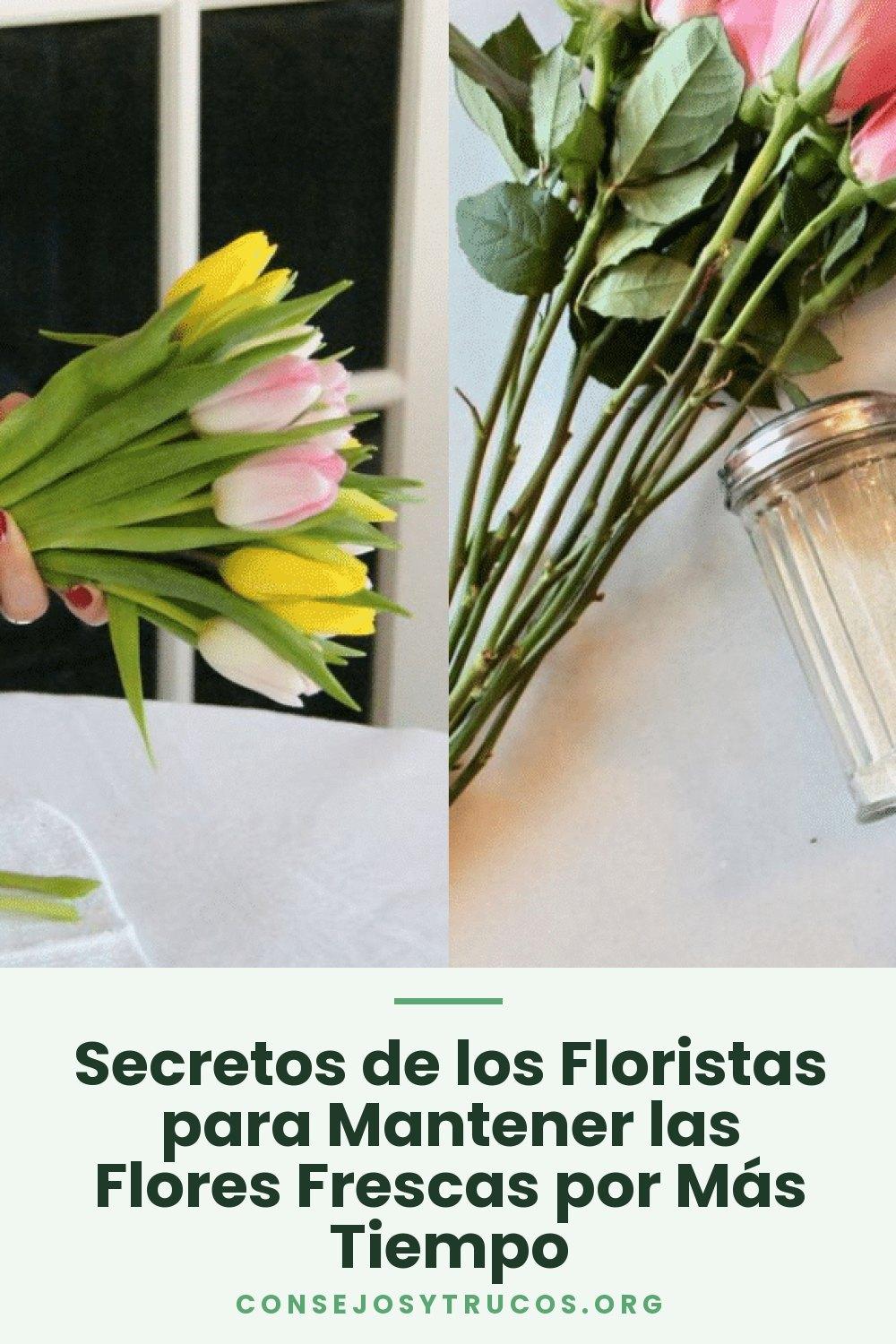 Secretos de los Floristas para Mantener las Flores Frescas por Más Tiempo
