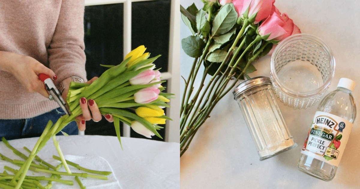 secretos de los floristas para mantener las flores frescas por mas tiempo