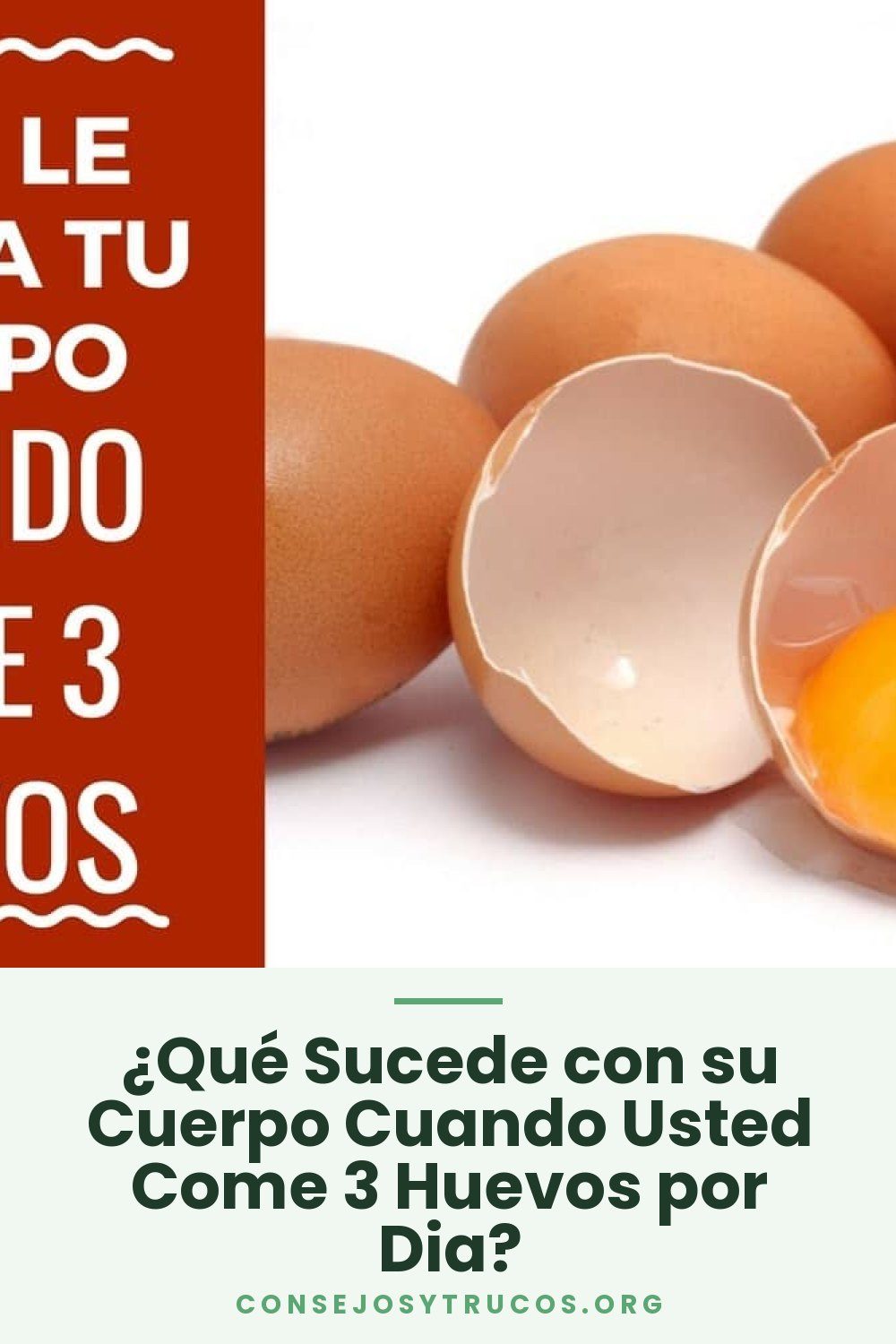 ¿Qué Sucede con su Cuerpo Cuando Usted Come 3 Huevos por Dia?