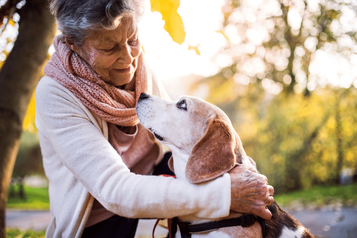 tener mascotas prevenir la demencia en personas 50 anos