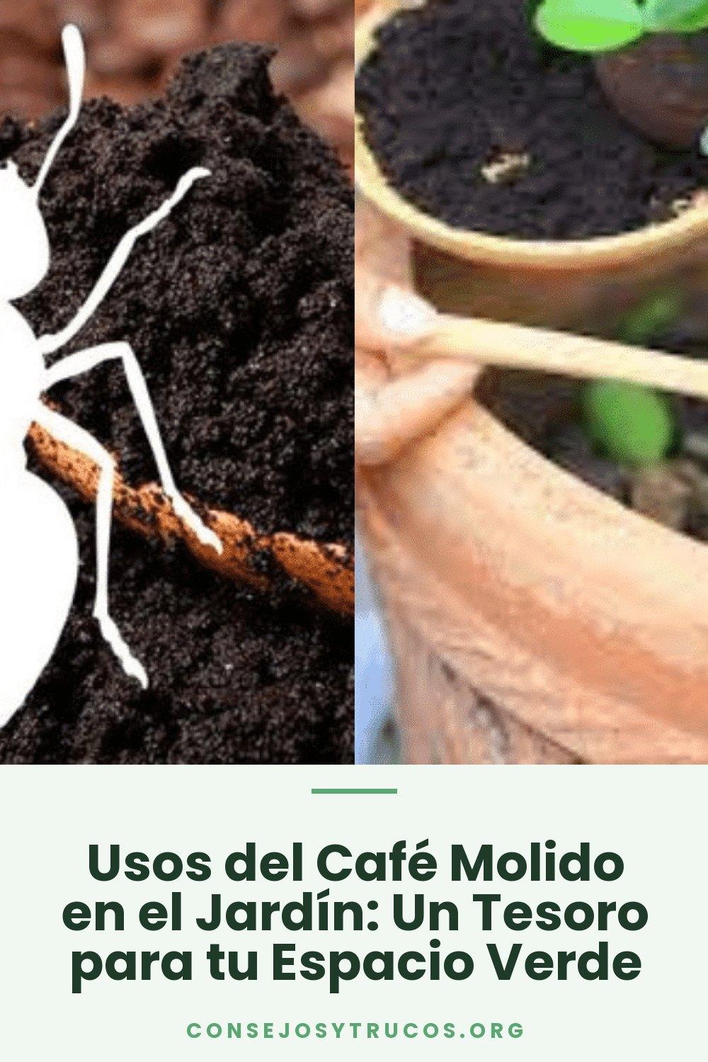 Usos del Café Molido en el Jardín: Un Tesoro para tu Espacio Verde