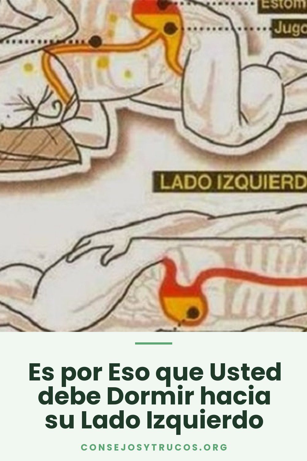 Es por Eso que Usted debe Dormir hacia su Lado Izquierdo